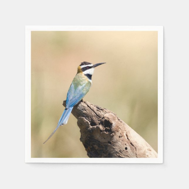 Serviette En Papier Bee-eater (Devant)