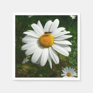 Serviette En Papier Bee on Daisy Alaskan Summer Nature
