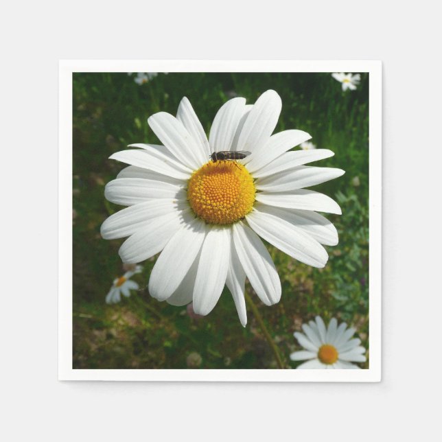 Serviette En Papier Bee on Daisy Alaskan Summer Nature (Devant)