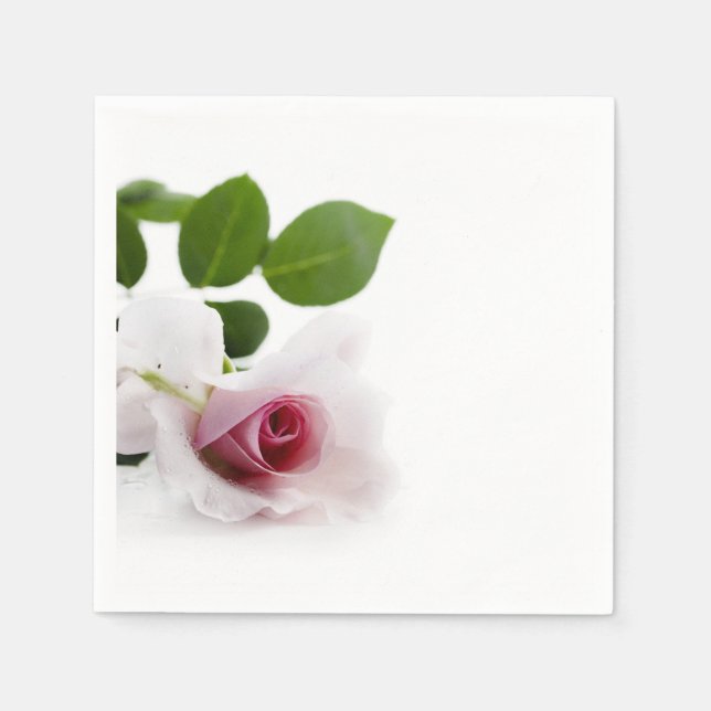 Serviette En Papier Belle rose rose sur arrière - plan blanc (Devant)
