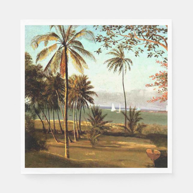 Serviette En Papier Bierstadt - Scène Floride (Devant)