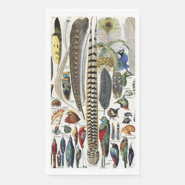 Serviette En Papier Bird Feather Wildlife Antique Feathers Art Nouveau (Devant)