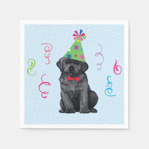 Serviette En Papier Black Lab de fête d'anniversaire