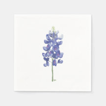 Bluebonnet à fleurs sauvages du Texas