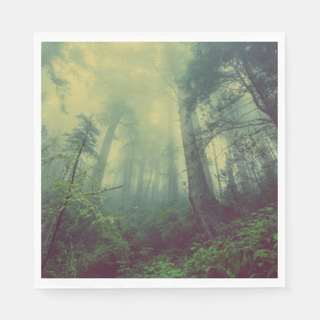 Serviette En Papier Bois Du Bas (Devant)