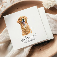 Bois Sur Moi ! Golden Retriever chien animal Maria