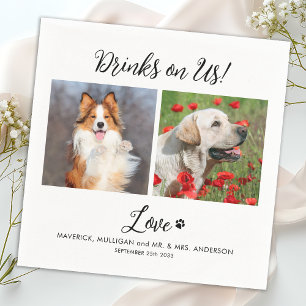 Serviette En Papier Boissons Sur Nous Photo Animaux De Compagnie Maria