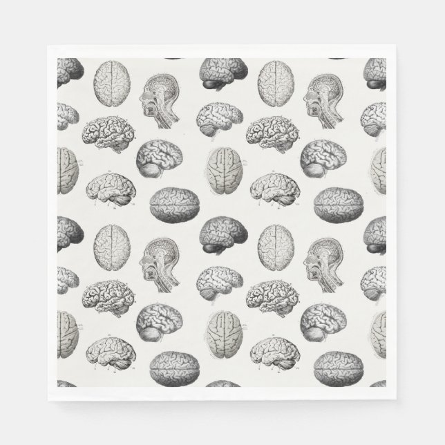 Serviette En Papier Brain Anatomy Biology Illustrations (Devant)