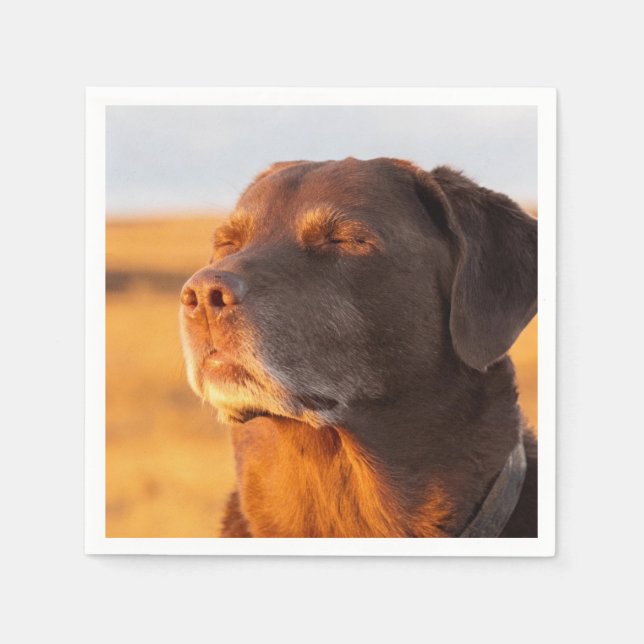 Serviette En Papier Breathe, Just Breathe Dog Napkins (Devant)