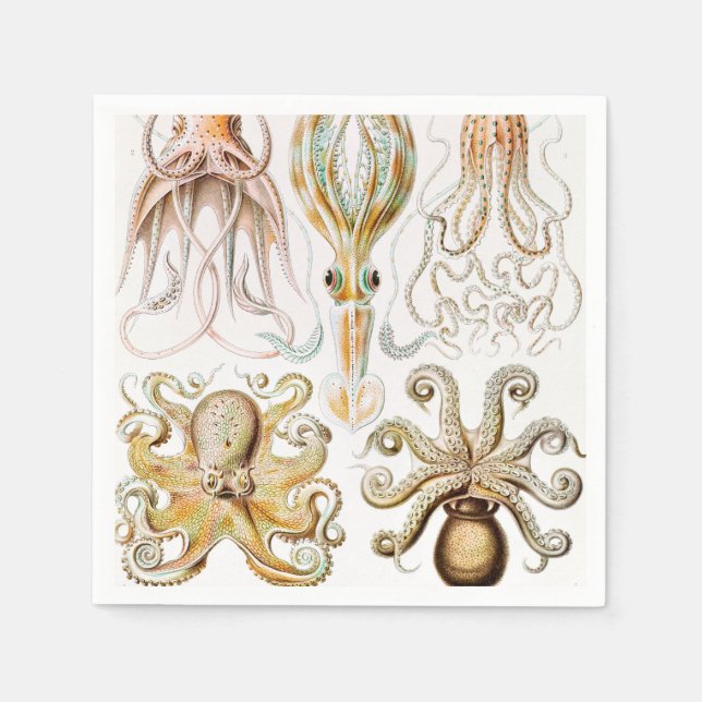 Serviette En Papier Calmar de poulpe, Gamochonia par Ernst Haeckel (Devant)