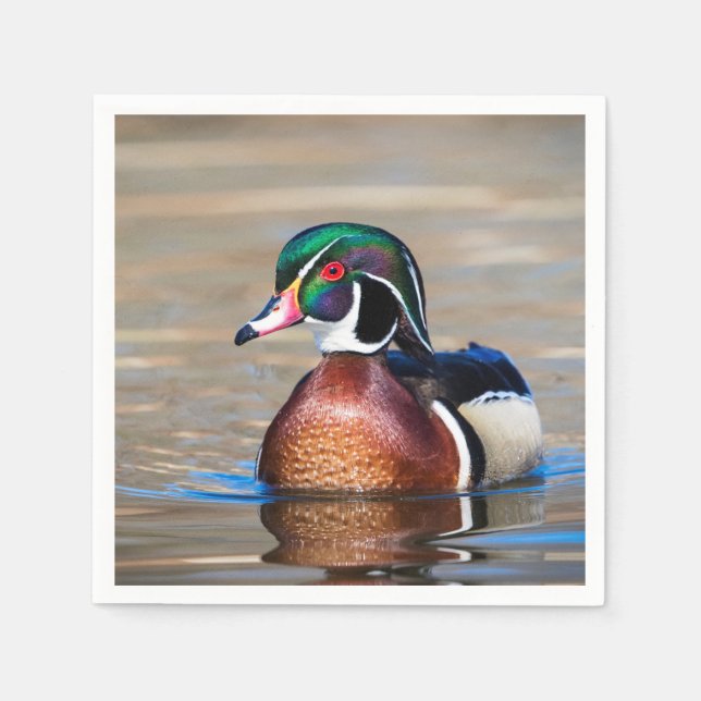 Serviette En Papier Canard à bois dans un étang (Devant)