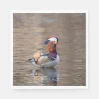 Canard mandarin