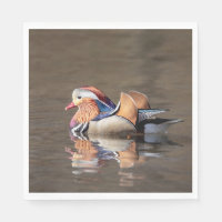 Canard mandarin