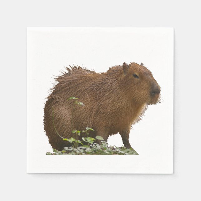 Serviette En Papier Capybara (Devant)