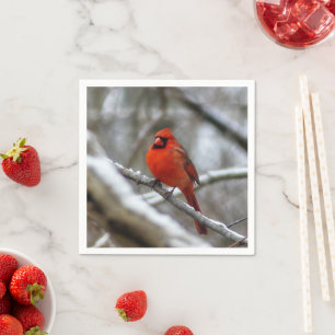 Serviette En Papier Cardinal masculin