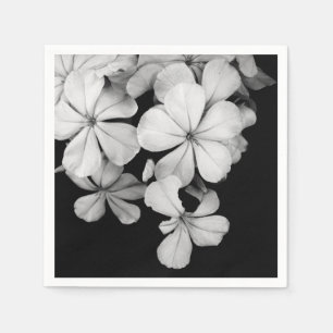 Serviette En Papier carte postale n&b