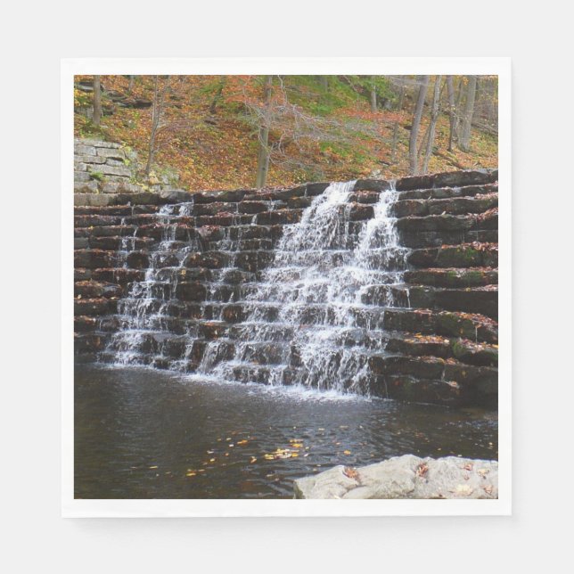 Serviette En Papier Cascade du parc national Laurel Hill I (Devant)