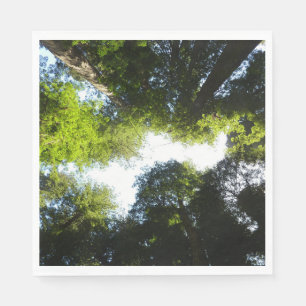 Serviette En Papier Cercle de séquoias à Redwood National Park