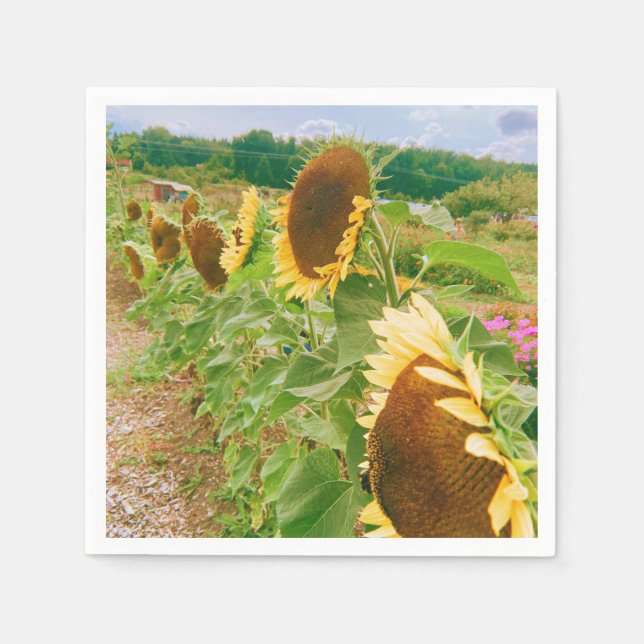 Serviette En Papier Champs de tournesol (Devant)