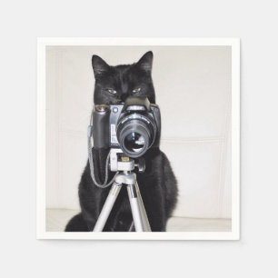 Serviette En Papier Chat avec l'appareil photo