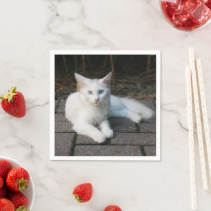Serviette En Papier Chat blanc