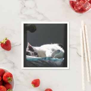 Serviette En Papier Chat dans Sunspot Ne pas déranger