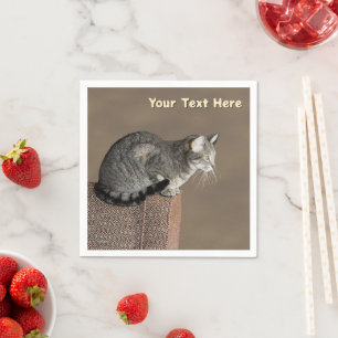 Serviette En Papier Chat Tabby Gris Fumé