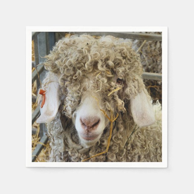 SERVIETTE EN PAPIER CHÈQUE CUTE (Devant)