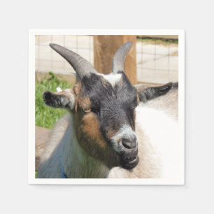 SERVIETTE EN PAPIER CHÈQUE CUTE