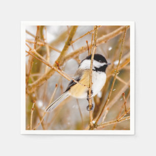Serviette En Papier Chickadee au plafond noir - Photo originale