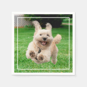 Serviette En Papier Chien Courant Dans Le Jardin