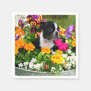 Serviette En Papier Chien de Boston Terrier