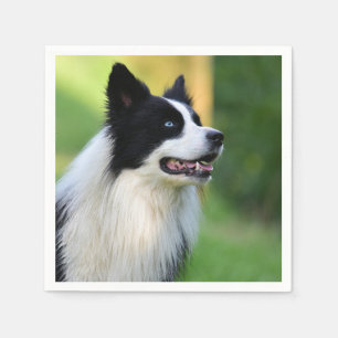 Serviette En Papier Chien noir et blanc à la frontière