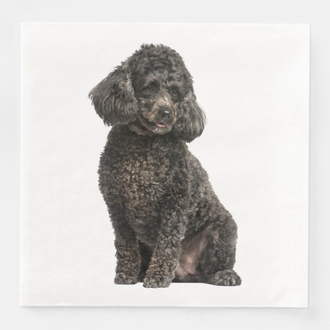 Serviette En Papier Chiot Caniche Noir Mariage Fête Anniversaire (Devant)