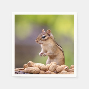 Serviette En Papier Chipmunk aux cacahuètes