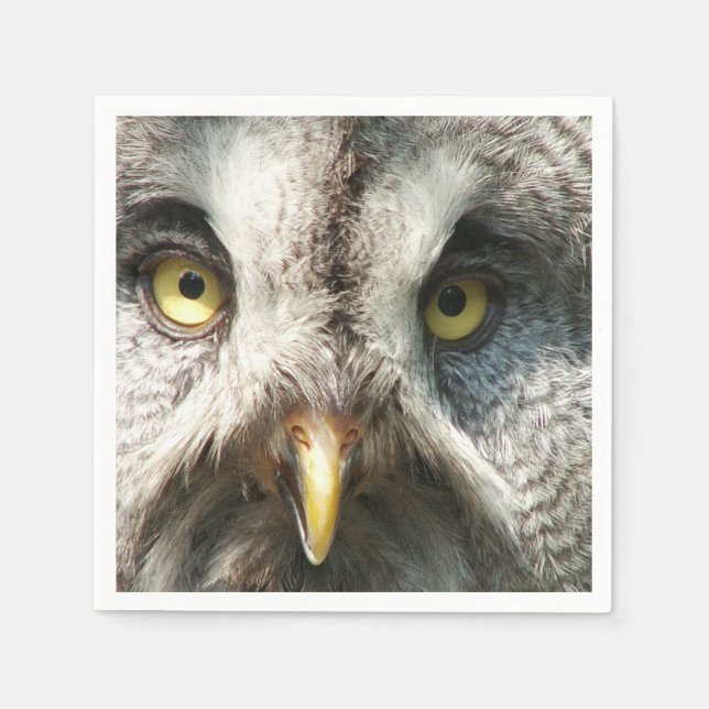 Serviette En Papier Chouette (Devant)