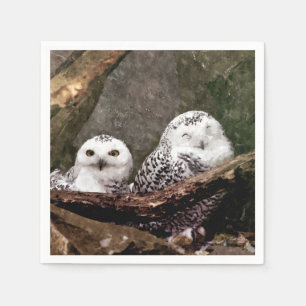 Serviette En Papier Chouette Harfang Couple Art Bois Faune Sauvage