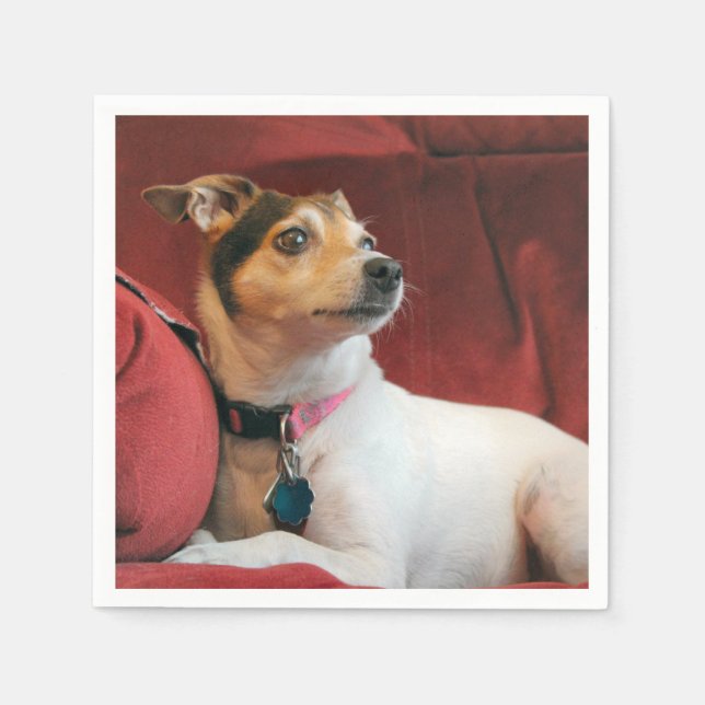 Serviette En Papier Classique (Devant)