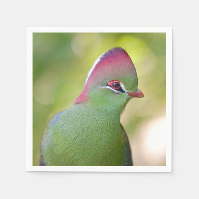 Serviette En Papier Closeup turaco de fischer (Devant)