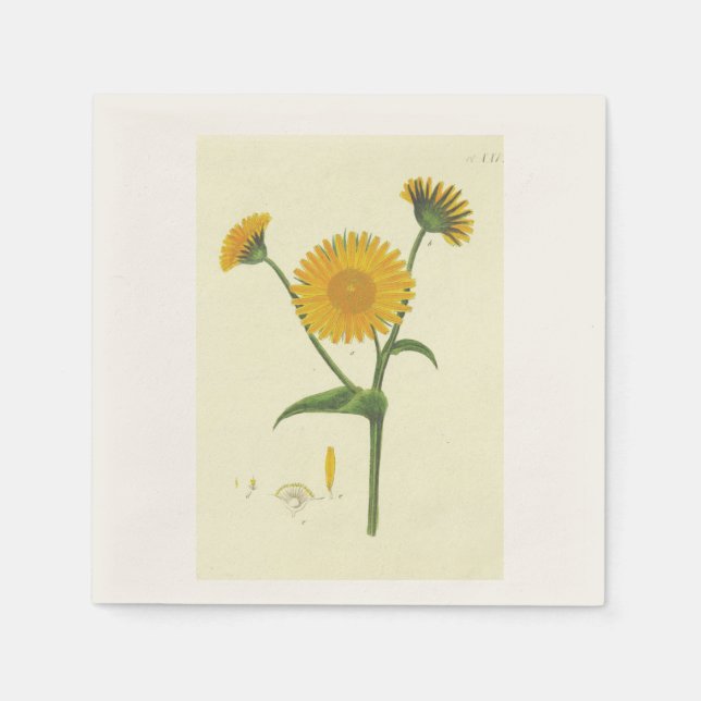 Serviette En Papier Cocktail Napkin (Devant)