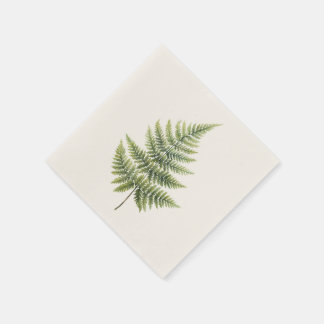 Serviette En Papier Cocktail Napkin - Elégant design de fougères