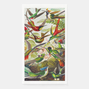 Serviette En Papier Colibri vintage par Ernst Haeckel