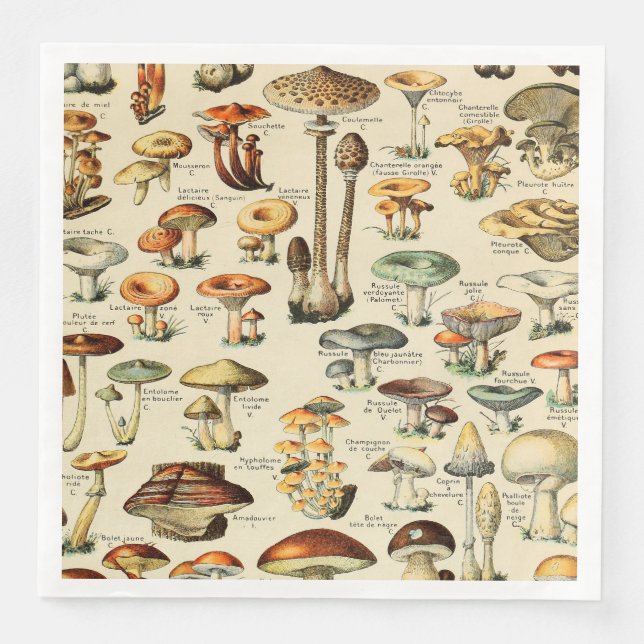 Serviette En Papier Collection de champignons (Devant)