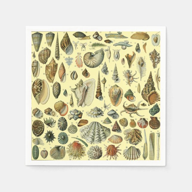 Serviette En Papier Coquillages de coquillages Mollusk Clam Élégant Ar (Devant)