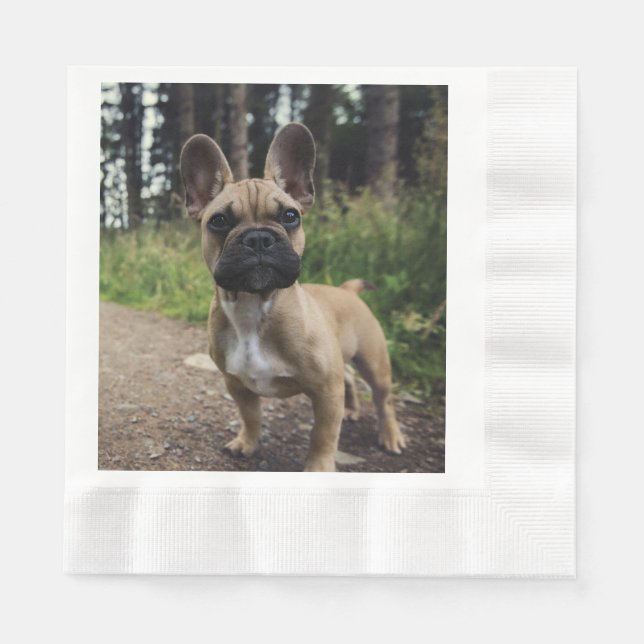 Serviette En Papier Coussin de lancer Bouledogue Français (Devant)