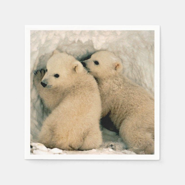 Serviette En Papier Cubes d'ours polaires dans la neige (Devant)