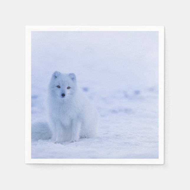 Serviette En Papier Cute Arctic Fox sur Snowy Winter Arrière - plan (Devant)
