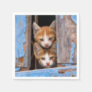 Serviette En Papier Cute chatte chatons dans une fenêtre Vintage bleue