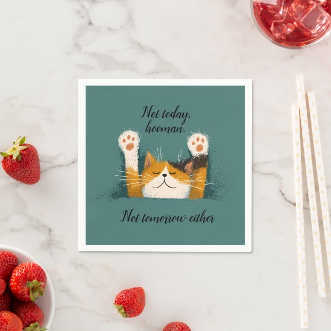 Serviette En Papier Cute Drôle Chat Nap (En situation)