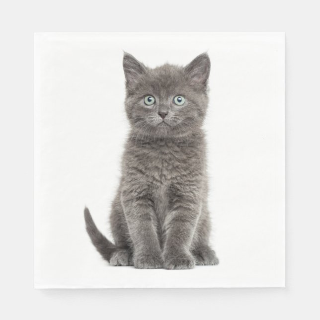 Serviette En Papier Cute Gris Kitten Gris Kitty Cat Party Napkins (Devant)